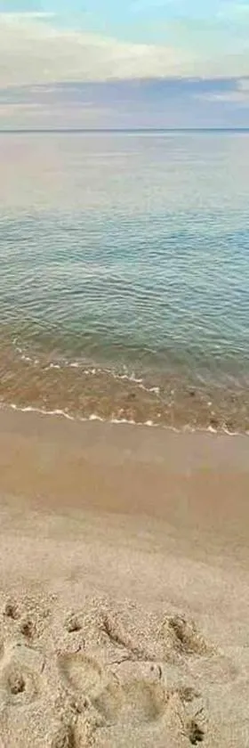 beach room，位于斯诺厄拜克的酒店