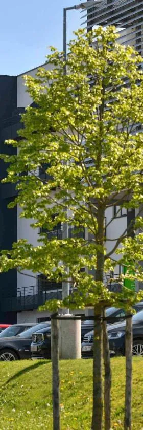 ibis Styles Namur，位于那慕尔的酒店
