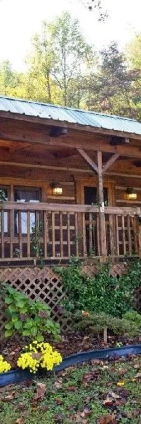 Peaceful Tellico View Home with Private Hot Tub，位于Tellico Plains的酒店