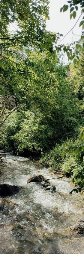 Moulin vieux，位于拉博莱讷韦聚比的酒店