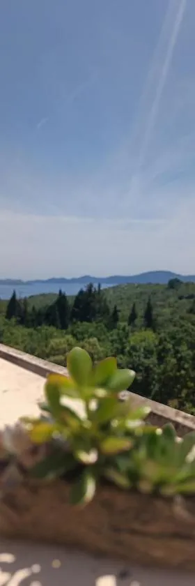 Villa Fragola 2，位于Doli的酒店