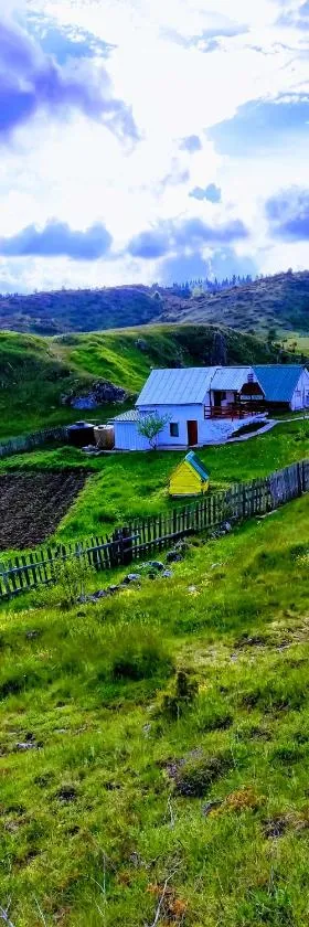Weekend house in the Piva nature park，位于普卢日内的酒店