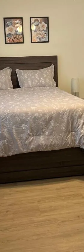 ZenHomes in Brandon near Tampa Valrico Seffner，位于布兰登的酒店