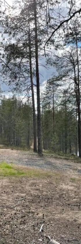 Kolmiloukon leirintäalue，位于Taivalkoski的酒店