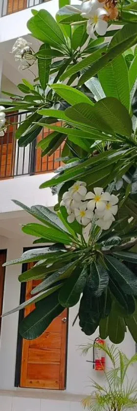 The Palines Apartment Hotel，位于马尼拉的酒店