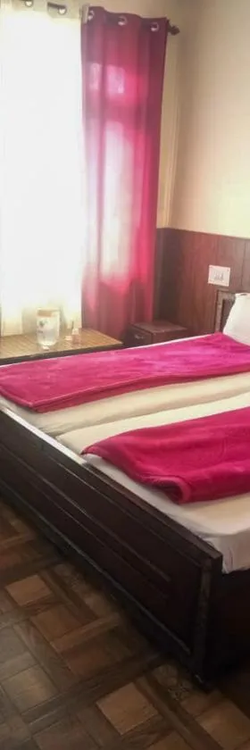 Hotel Gyespa，位于Kyelang的酒店