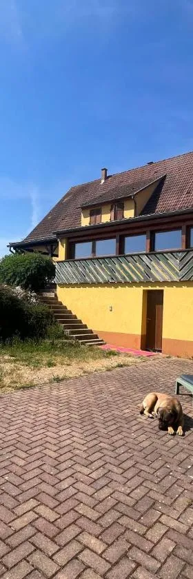 Gîte aux écuries Cerio，位于圣伊波利特的酒店