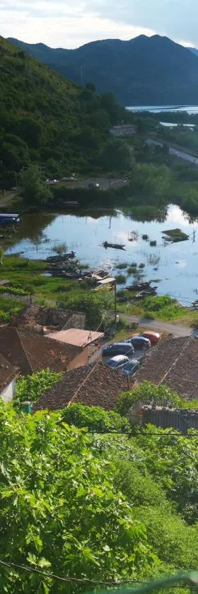 Apartment Dapcevic Skadar lake，位于Vranjina的酒店