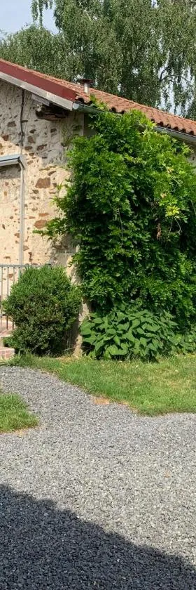 GÎTE Les Buis，位于Bussière-Poitevine的酒店