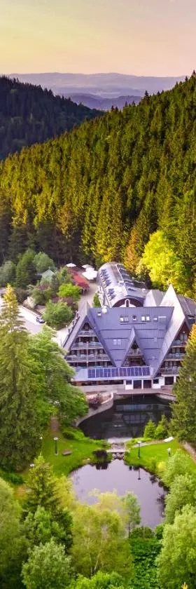 Jelenia Struga MEDICAL SPA，位于科瓦雷的酒店
