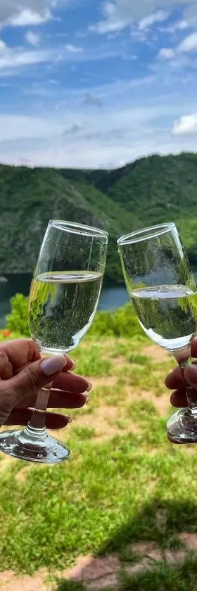 Brvnare Puljci，位于新瓦罗什的酒店