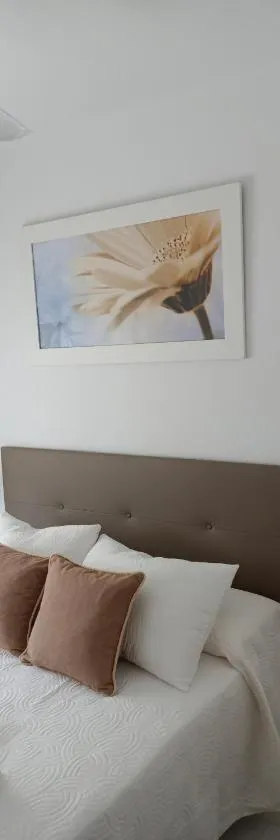 APARTAMENTOS MATUTE，位于阿尔莫多瓦尔德尔里奥的酒店