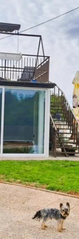 Andrija Apartment，位于卡尼卡的酒店