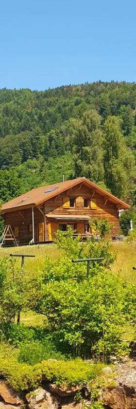 CHALET DES CHARBONNIERS AVEC ETANG，位于摩泽尔河畔圣莫里斯的酒店