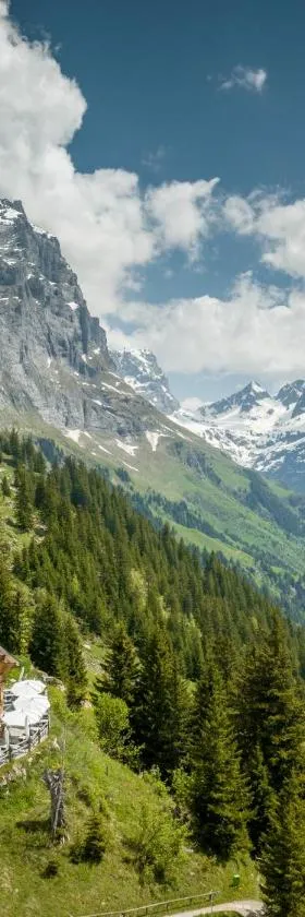 Tälli Hütte，位于Gadmen的酒店