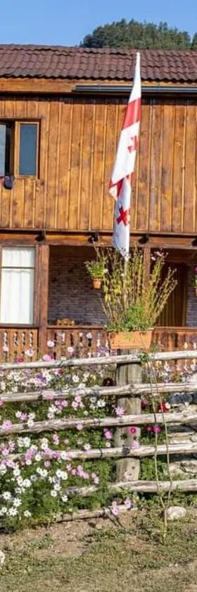 Guest House Old Omalo，位于Omalo的酒店