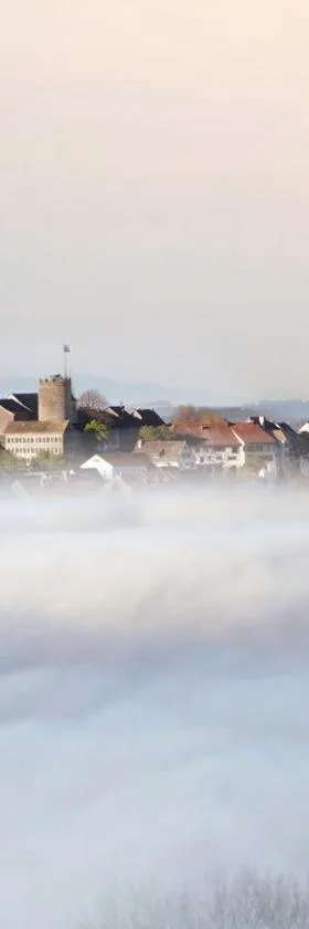 Hotel Krone Regensberg，位于Regensberg的酒店