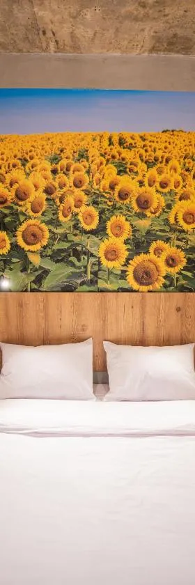 CAMPOS DE HOLAMBRA INN，位于帕拉纳帕内马的酒店