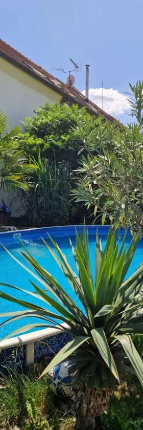 Farm Stay NH Stables，位于Nýřany的酒店