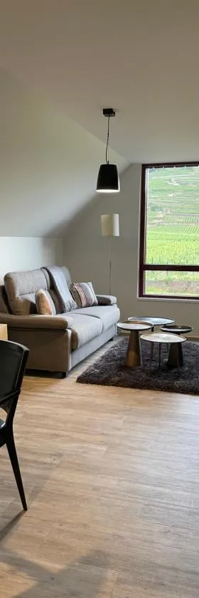 Appartements de Manon au cœur des vignes，位于基安特赞的酒店