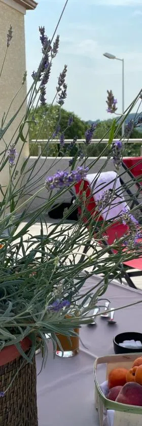 Val des Bruyères - gîte 15mn Pézenas avec terrasse et cour close - Parking privatif securisé - wifi FTTH gratuit，位于Néffiès的酒店