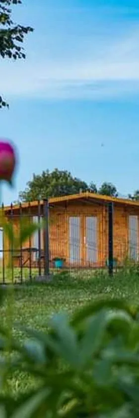 Domek w Górach Izerskich 4 i 6 osobowy, agroturystyka, żywe zwierzęta, w pełni wyposażone, plac zabaw dla dzieci, ognisko z kijkami i rusztem, ogrzewanie i klimatyzacja, latem basen，位于Mirsk的酒店