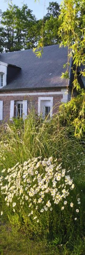 La Ferme Du Parc，位于Fongueusemare的酒店
