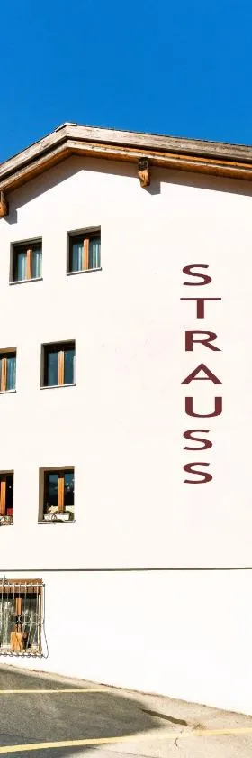 Kulinarik & Geniesser Hôtel STRAUSS，位于菲施的酒店