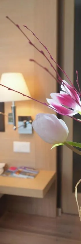Charme Hotel Ristorante Tre Terre，位于Ponte Brolla的酒店