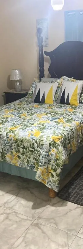 Coolworthy Cozy Retreat，位于曼德维尔的酒店