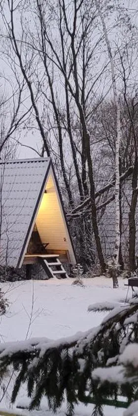 Vigio Brasta camping，位于埃莱克特伦艾的酒店