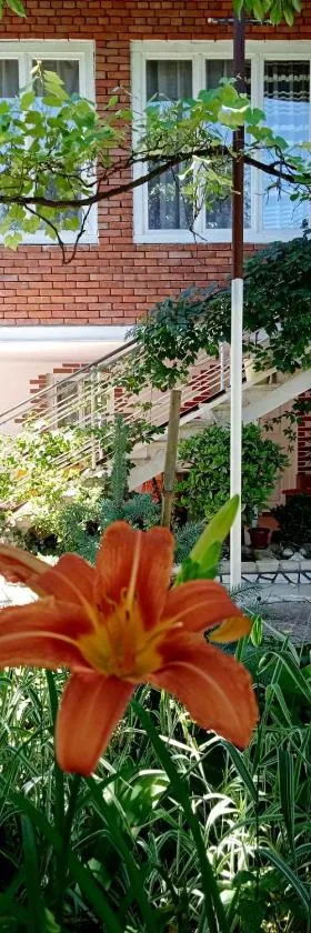 Guest house Meri Poppins，位于Dedoplis Tskaro的酒店