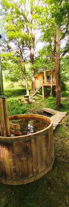 Treehouse LEA，位于Mikulášovice的酒店