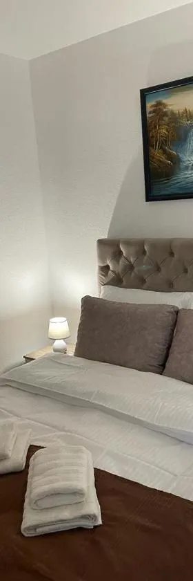 Apartman Splendid，位于Vrnjci的酒店