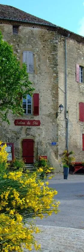 Château de Rosans，位于Rosans的酒店