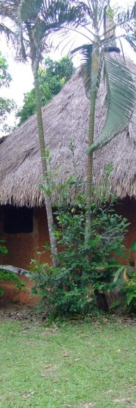 清莱班丁度假村，位于湄善的酒店