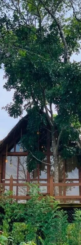 Kale Cottage Belihuloya，位于贝里胡罗亚的酒店