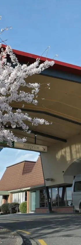 阿斯科特公园酒店，位于因弗卡吉尔的酒店