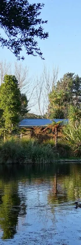Theo's Cottage，位于怀卡奈的酒店