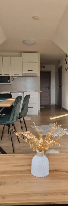 Apartamenty Jeleń Pod Grapom，位于Bańska Niżna的酒店