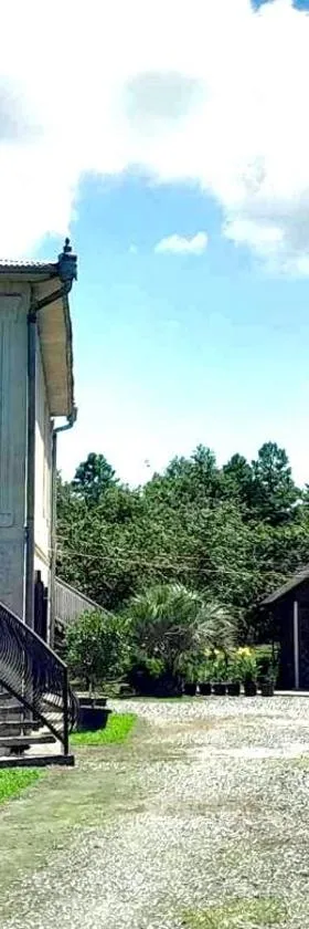 Ani's Green House，位于阿纳克利亚的酒店