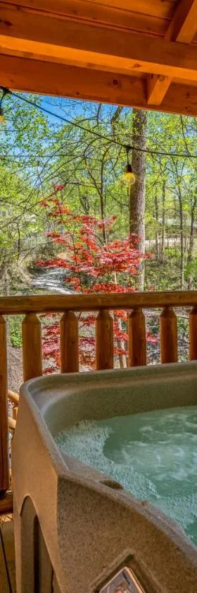 PERMANENT VACATION-Private Honeymoon Cabin with Hot Tub，位于赛维尔维尔的酒店