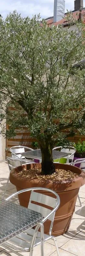 Logis-Hôtel des Oliviers，位于泰昂维的酒店