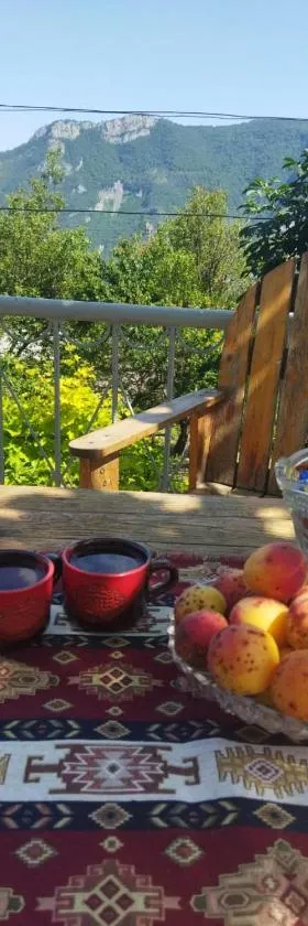 Arman Bed and Breakfast，位于Halidzor的酒店