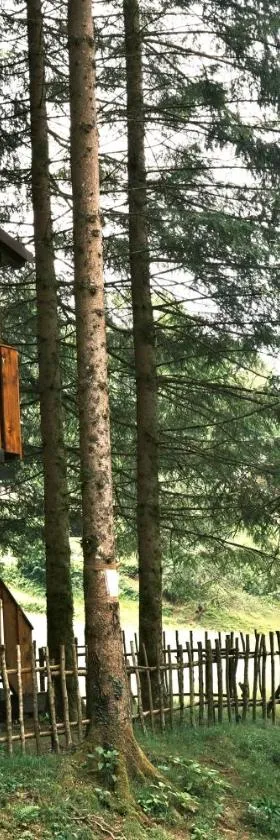Treehouse KUPARI Nacionalni park Risnjak，位于Čabar的酒店