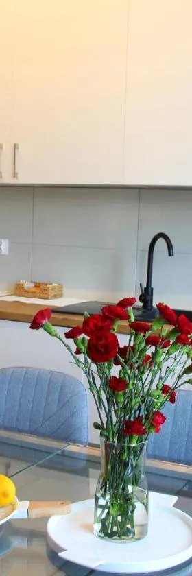 APART MAZURY Apartamenty na Mazurach，位于奥日什的酒店