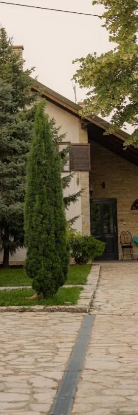 Vila Lio & Restaurant Devojacki Bunar，位于Novi Vladimirovac的酒店