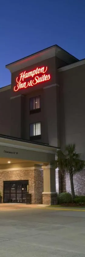 威金斯汉普顿套房酒店，位于Wiggins的酒店