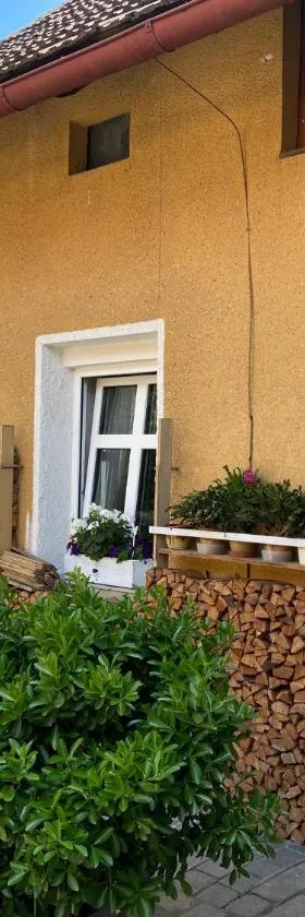 Ubytování u babičky，位于Peruc的酒店