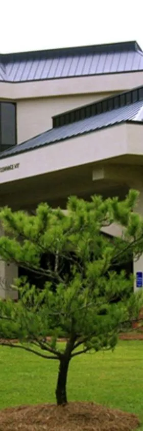 新伯尔尼希尔顿恒庭酒店，位于新伯尔尼的酒店